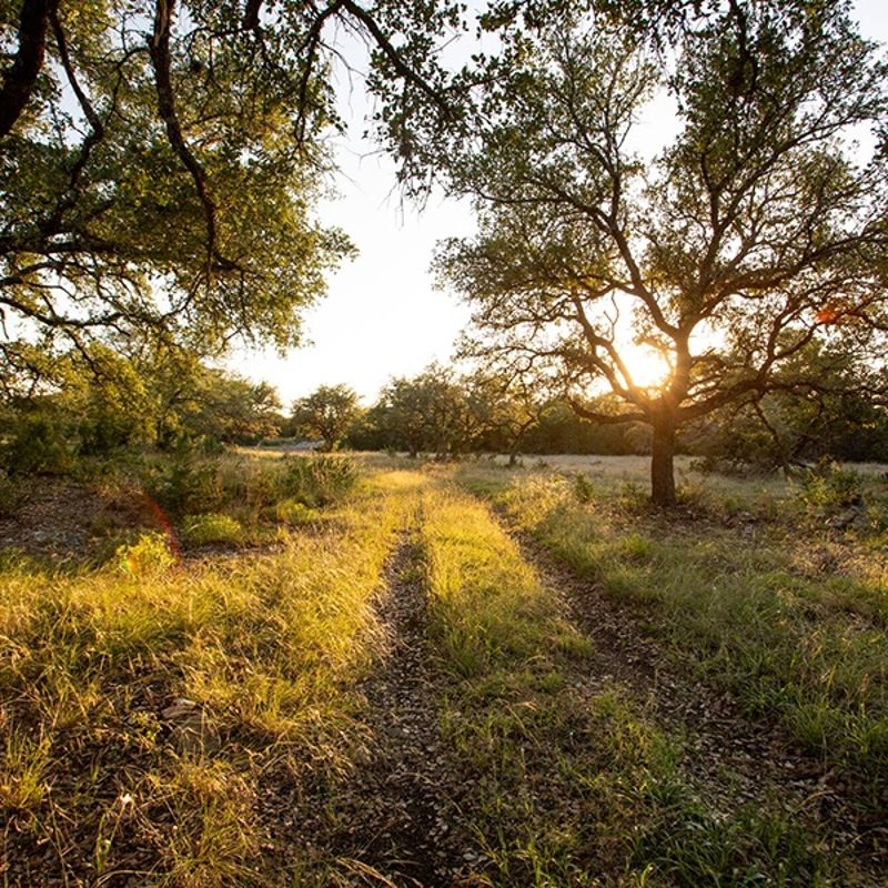 What is needed to buy land in TX
